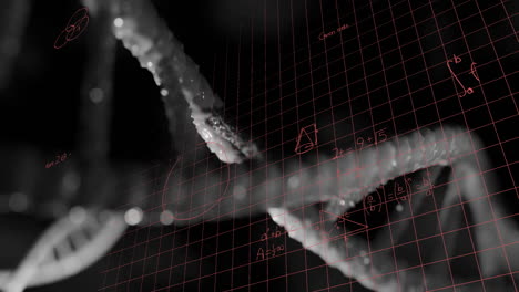 animation of dna strands with mathematical equations and grid overlay in school