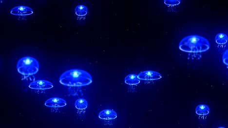 jellyfish illuminated with color light in the underwater, cg animation, loop