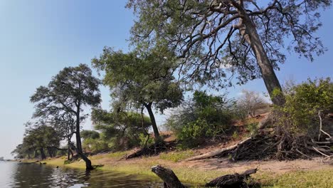 botswana skyline at chobe national park in kasane botswana