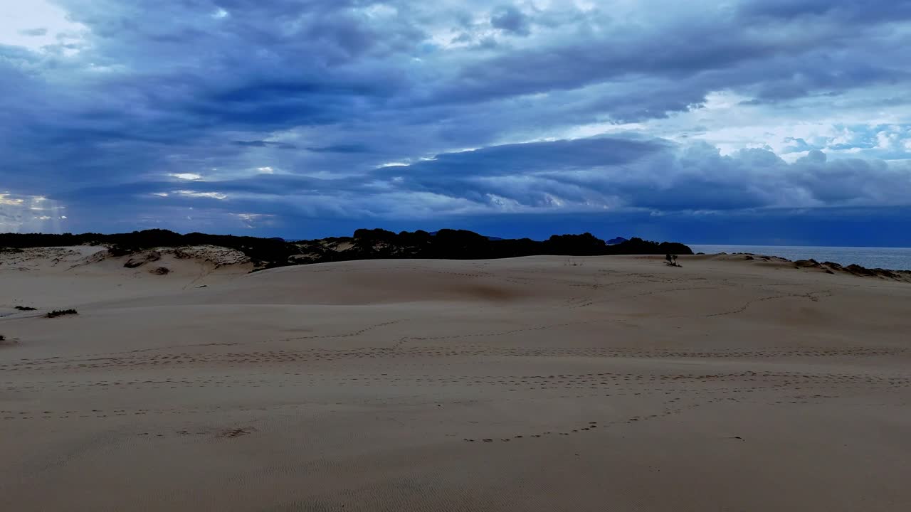 una playa de arena con algunas nubes en el cielo por encima y algunas plantas creciendo en la arena