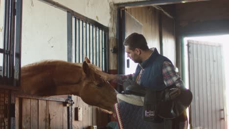 man is stroking a horse in stable while holding a saddle.