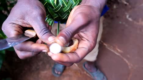 man cuts in half the inner of a small fruit with a knife to get white nutmeg