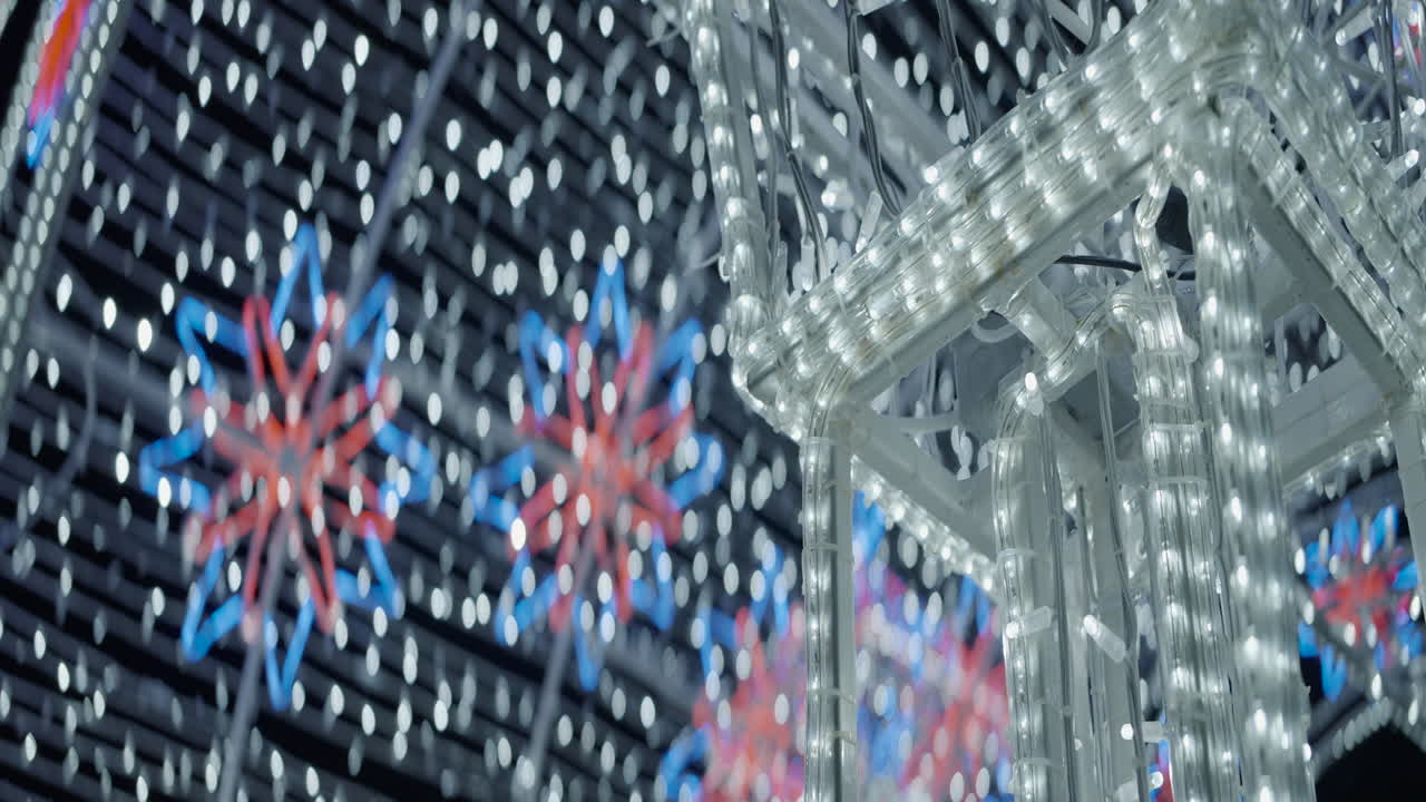 크리스마스 라이트 디스플레이