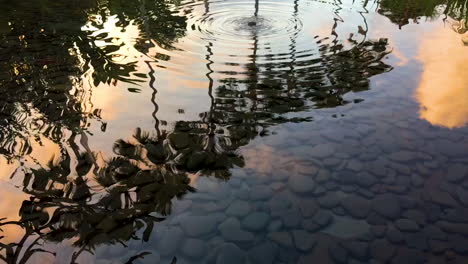 Cámara-Lenta:-Reflejo-De-Palmeras-Y-Nubes-Al-Atardecer-En-El-Agua-Del-Estanque-Con-Ondas-Suaves