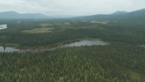 stunning wide angle drone shot of labrador's vast wilderness