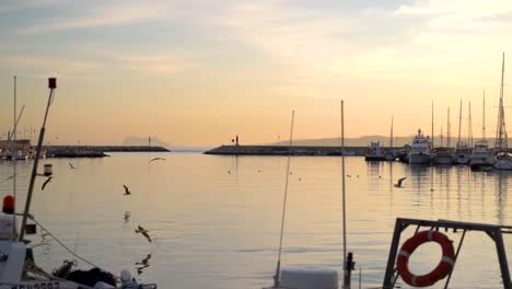 Wide-open-view-of-harbor-with-fishing-boats-and-seagulls-flying-at-sunset