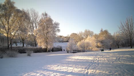 Wide-steady-cam-walking-forwards-shot-reveling-an-open-snowy-park-area-during-sunset