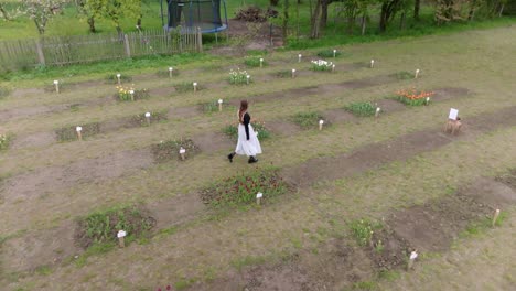 young woman walking through expansive flower garden of colour, aerial