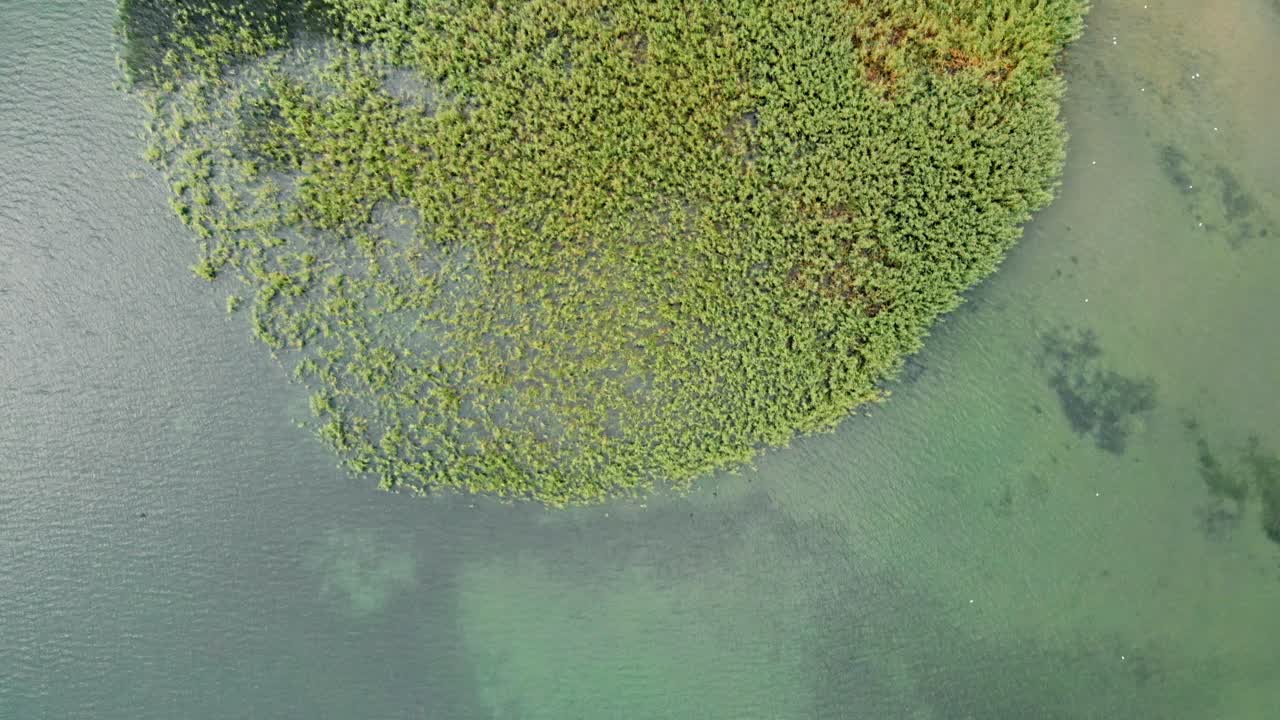 마케도니아의 오흐리드 호수에 있는 스트루가의 갈대와 지팡이로 만든 야생 섬의 공중 촬영