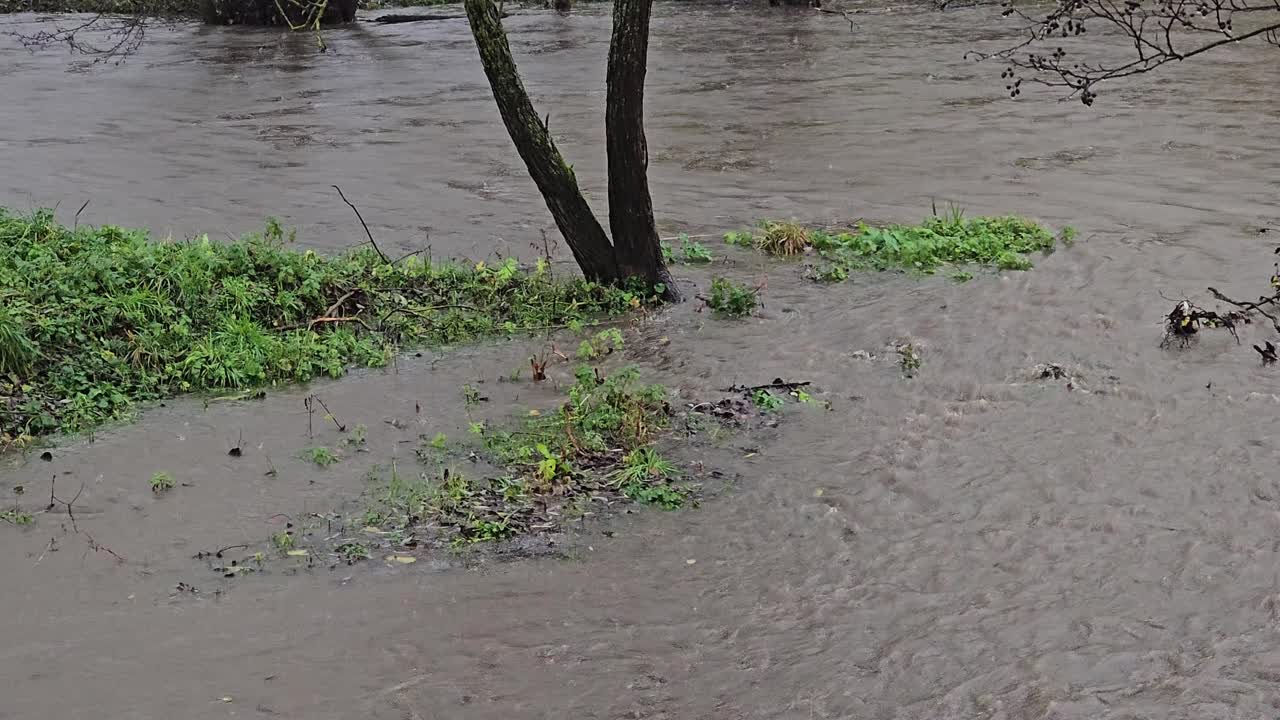 Flooding on the riverbank – Flooded meadows and trees in the water