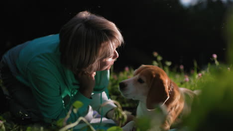 female cynologist kneels down on green grass training puppy to peck affectionately under warm sunset light in serene park environment surrounded by blooming flowers and playful outdoor atmosphere