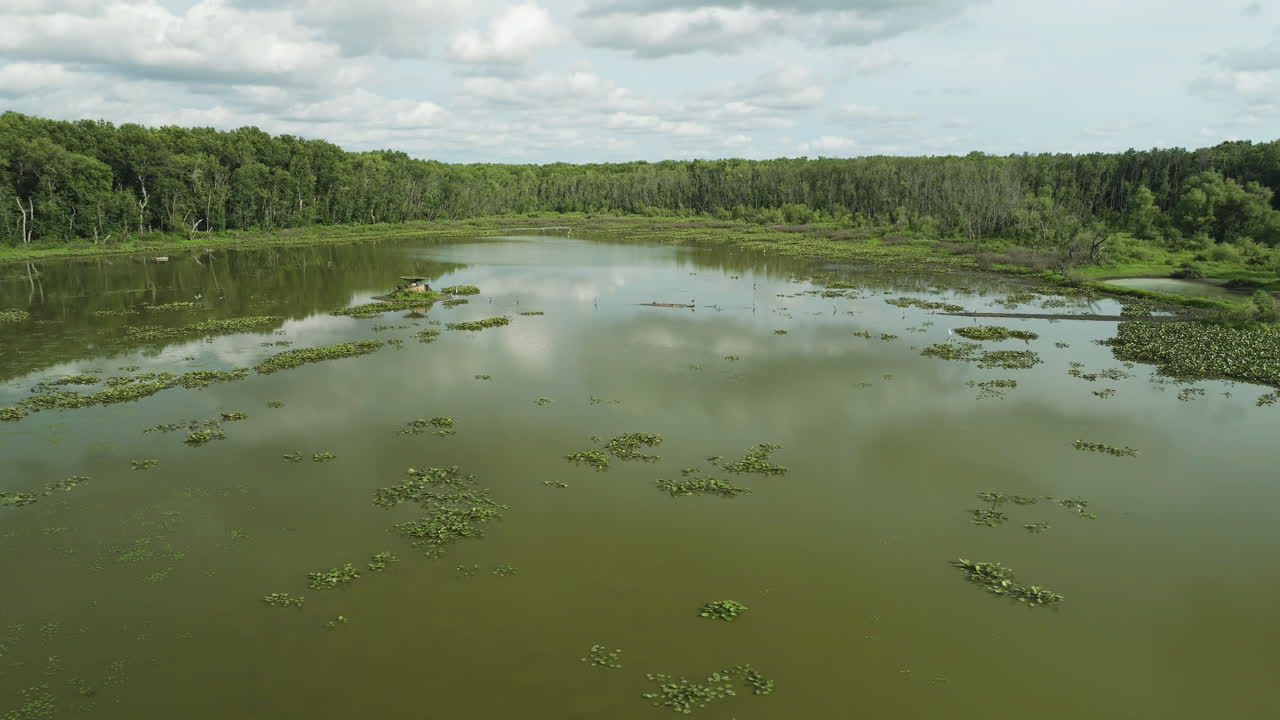 vegetación flotando sobre el agua verde del lago spile en el condado de vernon, missouri, estados unidos