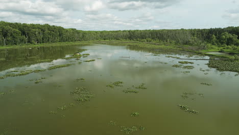 Vegetation-Schwimmt-über-Dem-Grünen-Wasser-Des-Spile-Lake-Im-Vernon-County,-Missouri,-Vereinigte-Staaten