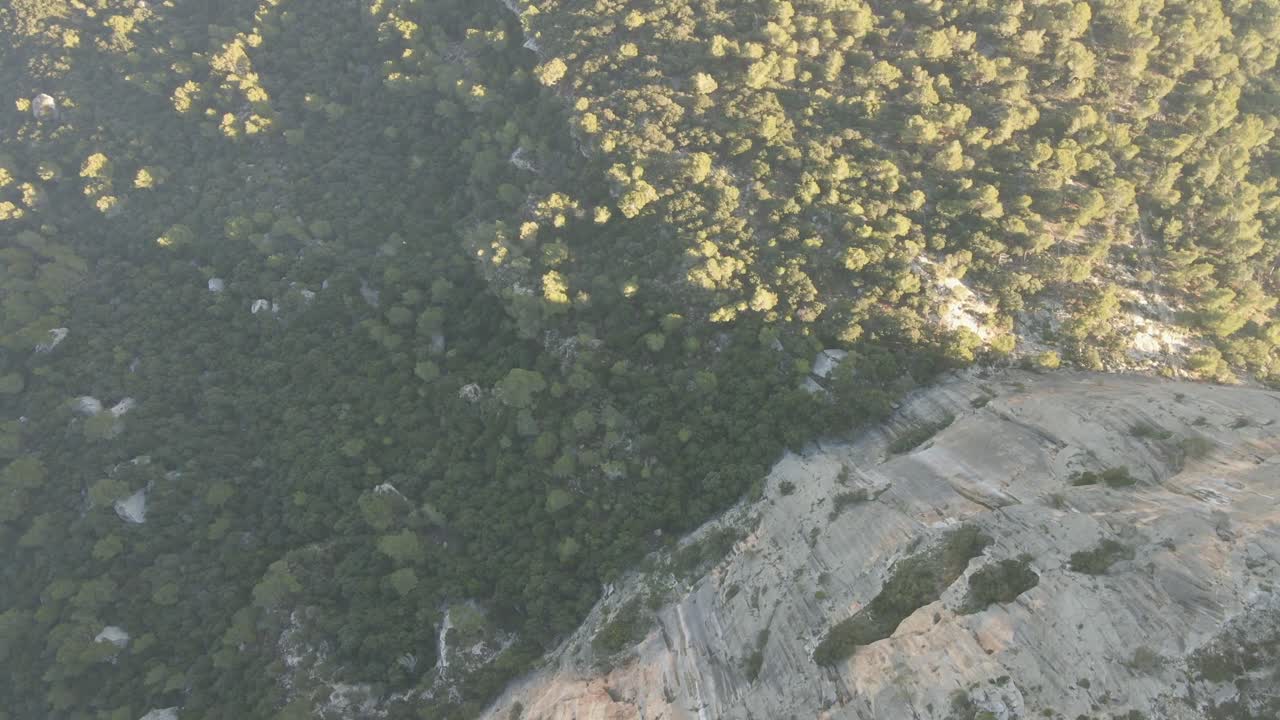 Discover breathtaking views of Mallorca's Tramontana mountains, featuring the serene Alaro Castle atop a majestic hill and the picturesque Cap Formentor with its iconic lighthouse.