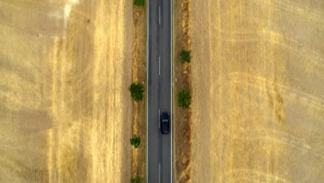 Drohnenaufnahme-Von-Oben-Nach-Unten-Eines-Schwarzen-Autos,-Das-Auf-Einer-Geraden-Landstraße-Zwischen-Zwei-Feldern-Fährt