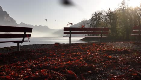 serene autumn scene at lake walensee. empty benches overlook the tranquil water as leaves swirl in the gentle breeze.
