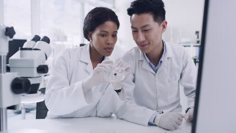 medical scientists in research facility looking