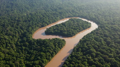 aerial view of a winding river through a lush rainforest