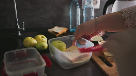 caregiver places sandwich into lunch container on kitchen counter surrounded by apples, bread slices, plastic boxes, and water bottles, preparing morning meal with attention to nutrition and organization