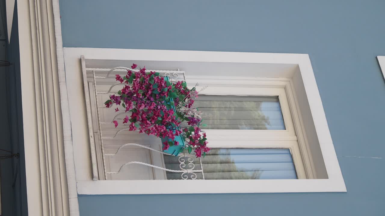 Ornamental Window Box with Flowers