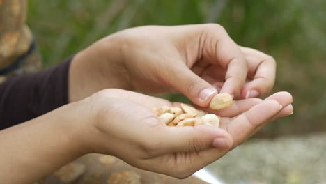 Woman holding cashews