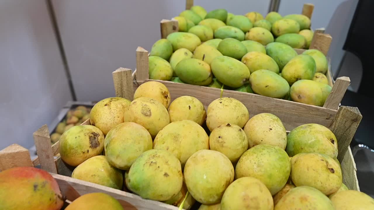 variedades de mangos frescos emiratíes se exhiben durante el festival de comida en los emiratos árabes unidos