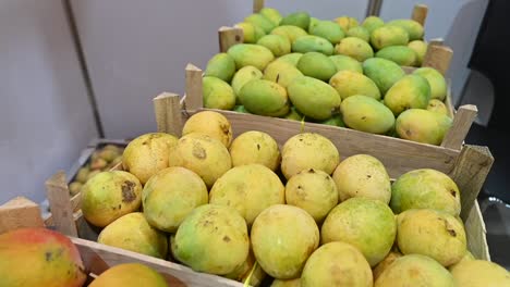 varieties of fresh emirati mangos are displayed during the food festival in the united arab emirates