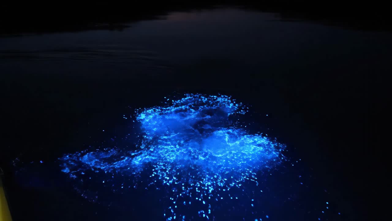 Bioluminescent Display in Water