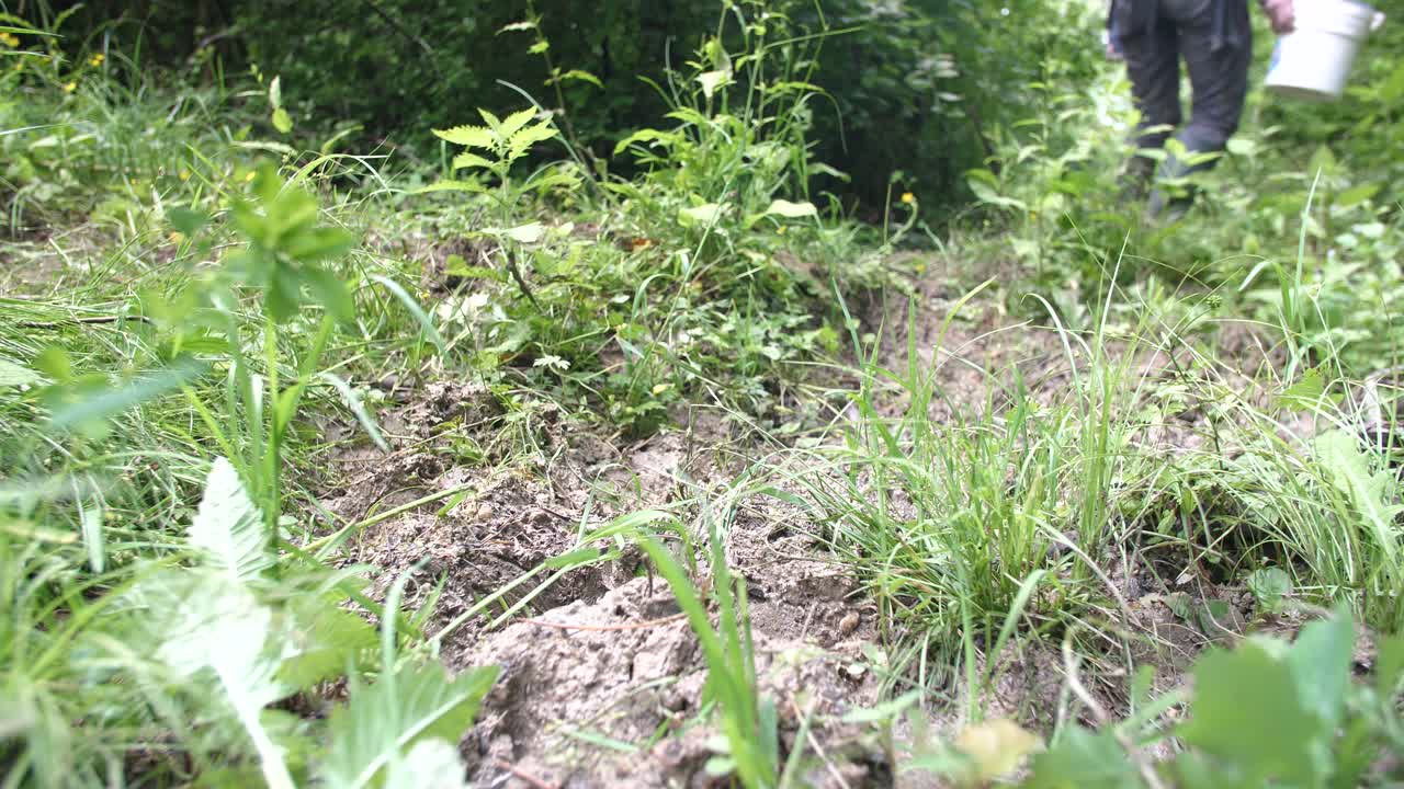 부츠를 입고 진 속에서 는 사람들. 베르돈 숲