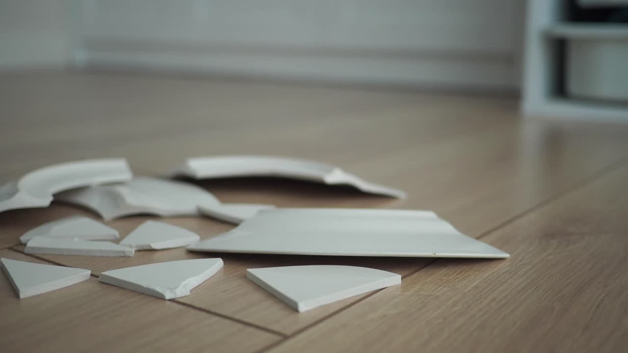 Broken Plate Shards on Wooden Floor