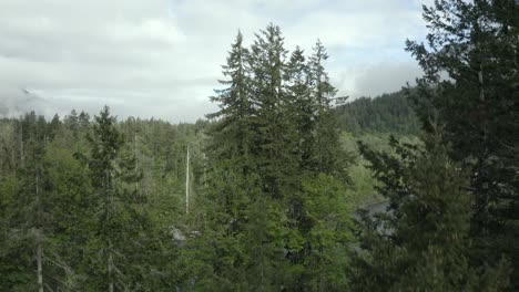 Drohnenaufnahmen-Zeigen-Den-Wunderschönen-Pazifischen-Nordwestfluss-Und-Den-Nebligen-Wald