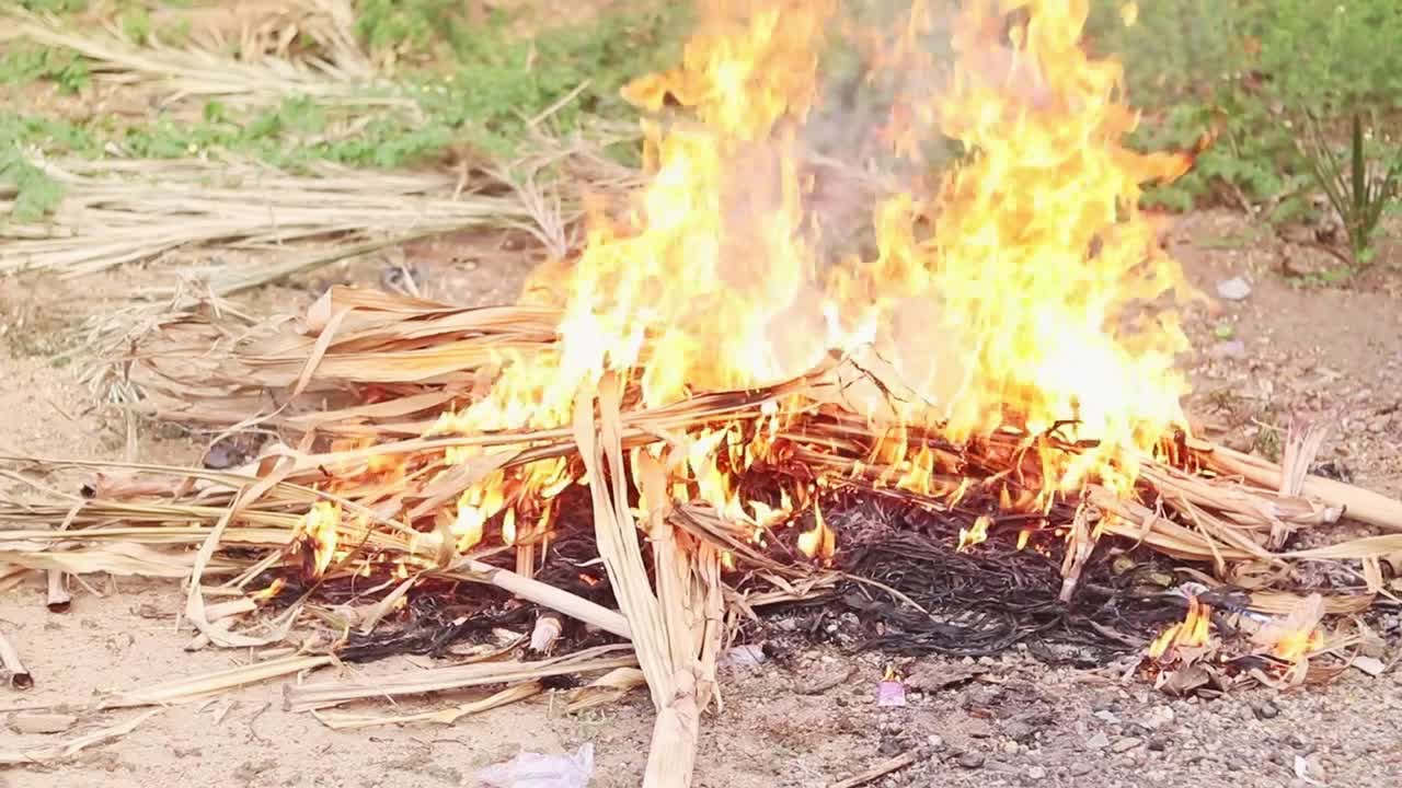 Kor halindeki kül yığınının üzerine kuru yapraklar konularak yakılan bir ateşin geniş görüntüsü. Alevler büyüyor ve malzemeyi hızla yakıyor.