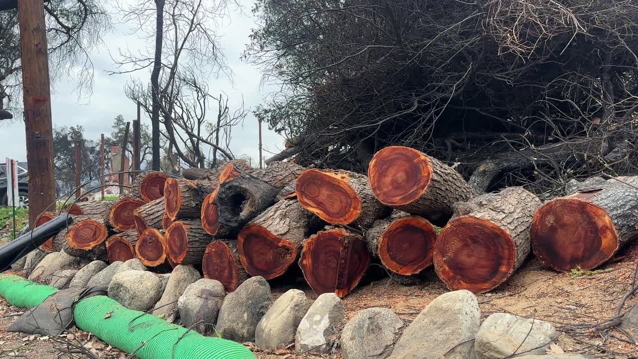 Handheld wide panning shot of logs from trees that burned in the Eaton wildfire in Altadena, California. 4K