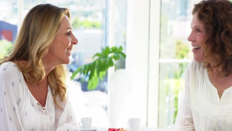 Happy-women-sitting-on-table-and-talking-with-each-other