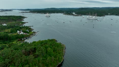 tall sailing ships glide through a tranquil coastal bay, which is dotted with boats and enveloped by verdant hills and forest. overcast skies add to the calm ambiance