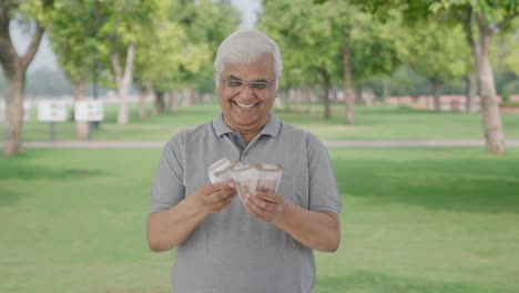 happy indian old man counting money in park