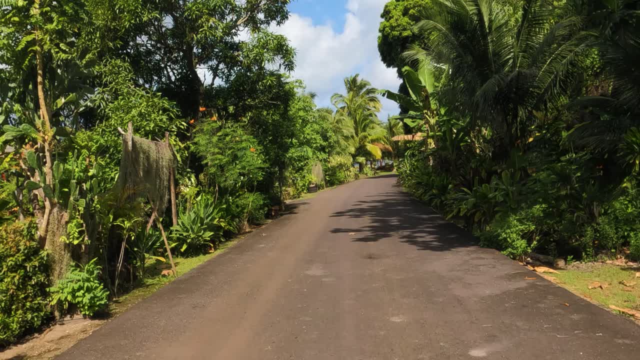 Driving on Road on Bora Bora Island, French Polynesia. Driver or Rider Point of View of Tropical Lush 60fps