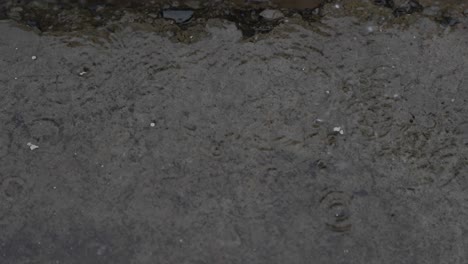 Toma-En-Cámara-Lenta-De-Gotas-De-Lluvia-Golpeando-El-Suelo,-Formando-Ondas-En-La-Superficie-Del-Agua