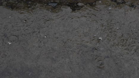 disparo en cámara lenta de gotas de lluvia que golpean el suelo, formando ondas en la superficie del agua