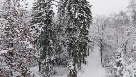 Aerial-view-of-a-snowy-forest-in-northern-germany