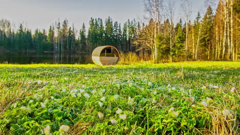 Anemone-Nemorosa-White-Flowers-Blooming-In-The-Lakeside-Meadow-With-Nature-Sauna-On-A-Sunny-Morning