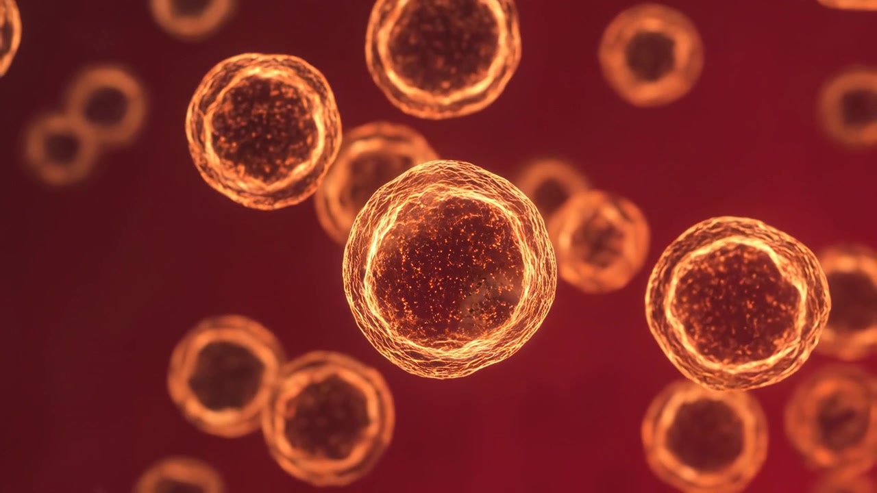 Microscopic View of Glowing Biological Cells Floating in Fluid