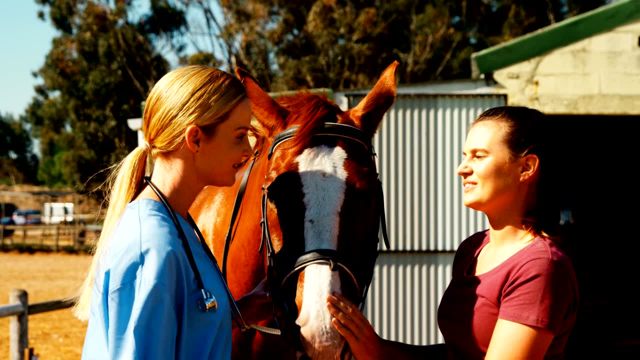 농장 4k에서 수의사와 상호 작용하는 여성