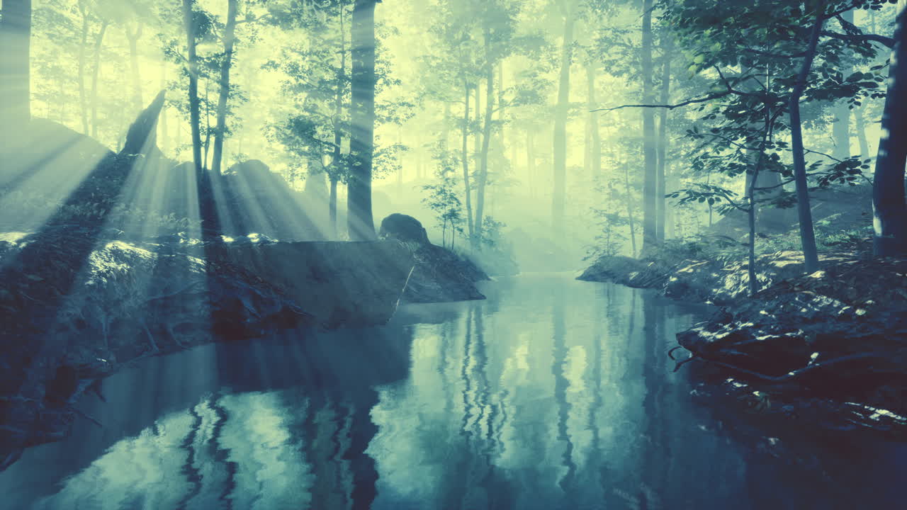 pond in a forest with fog