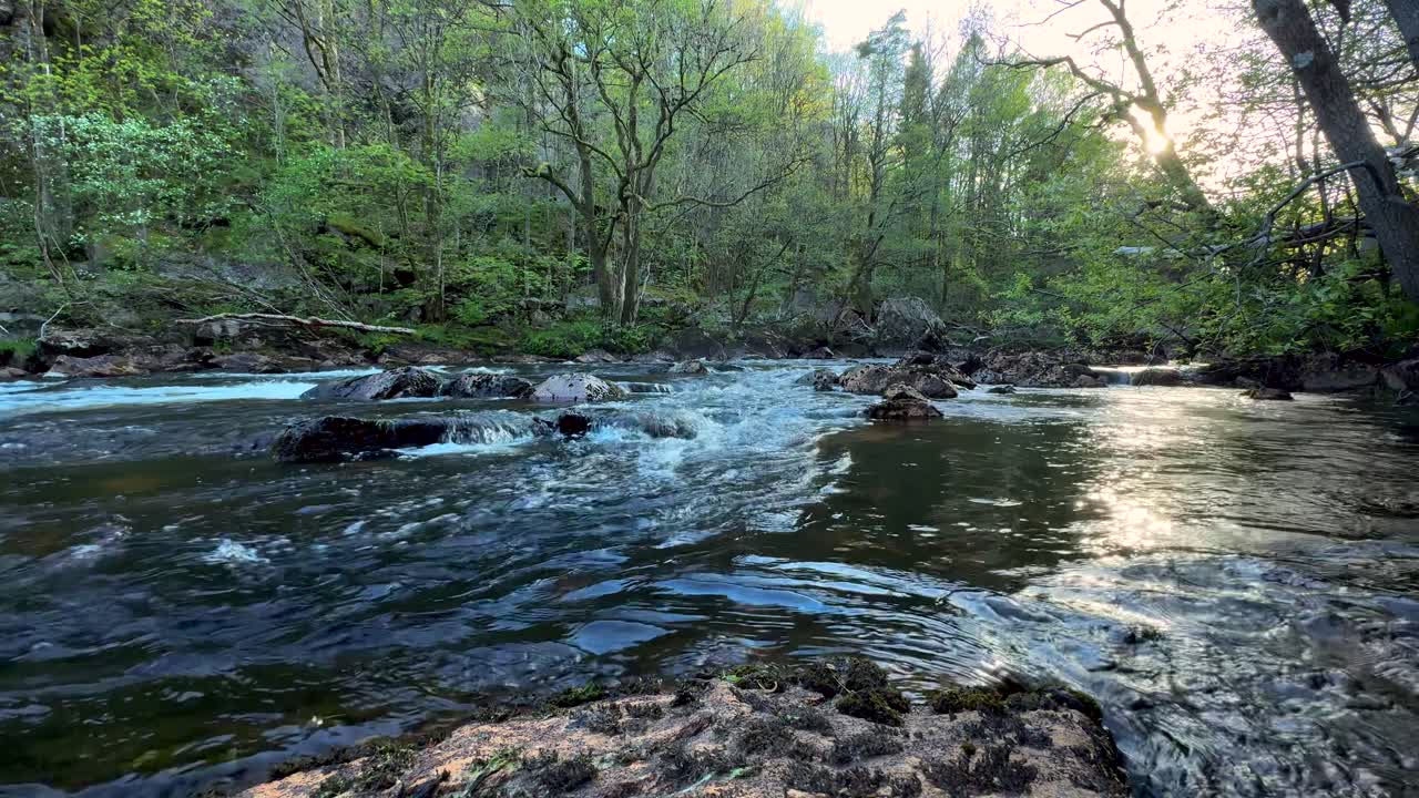 Video 4K al rallentatore di un bellissimo fiume norvegese in primavera