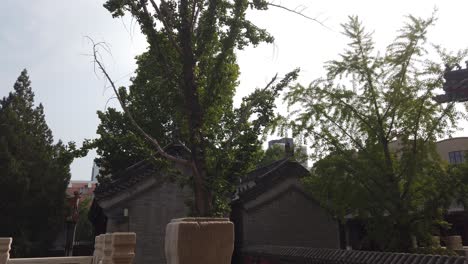 ancient chinese buildings surrounded by modern city