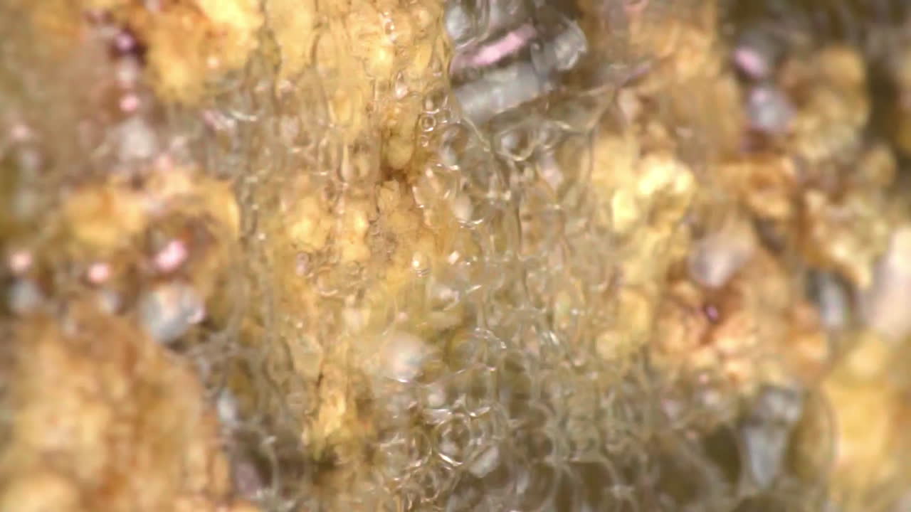 뜨거운 끓는 기름에 열광적으로 파열되는 깨끗한 흰색 거품, 날 닭고기를 튀기고 요리하는 것, 극도로 가까운 정적