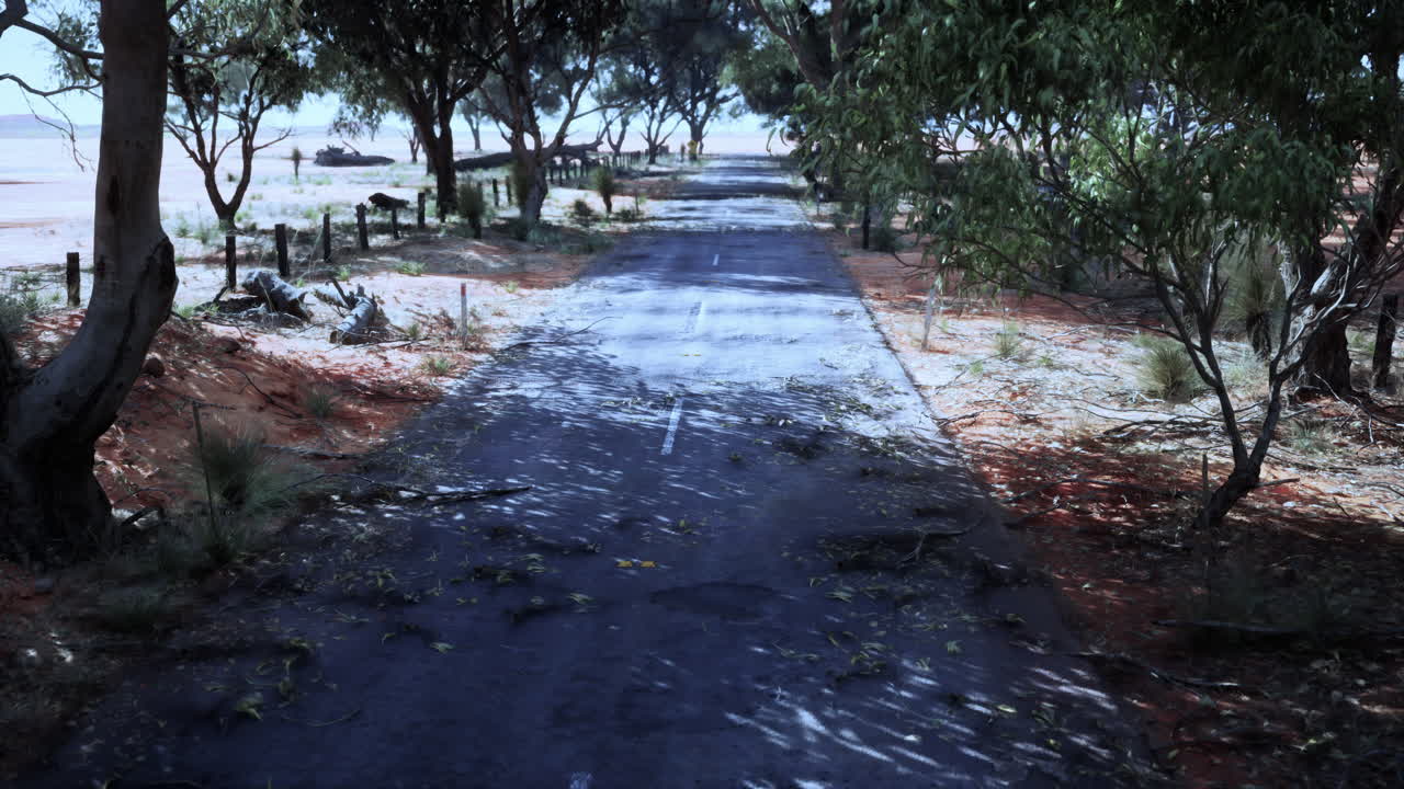 오스트레일리아 내륙을 가로지르는 길고 직선적인 도로