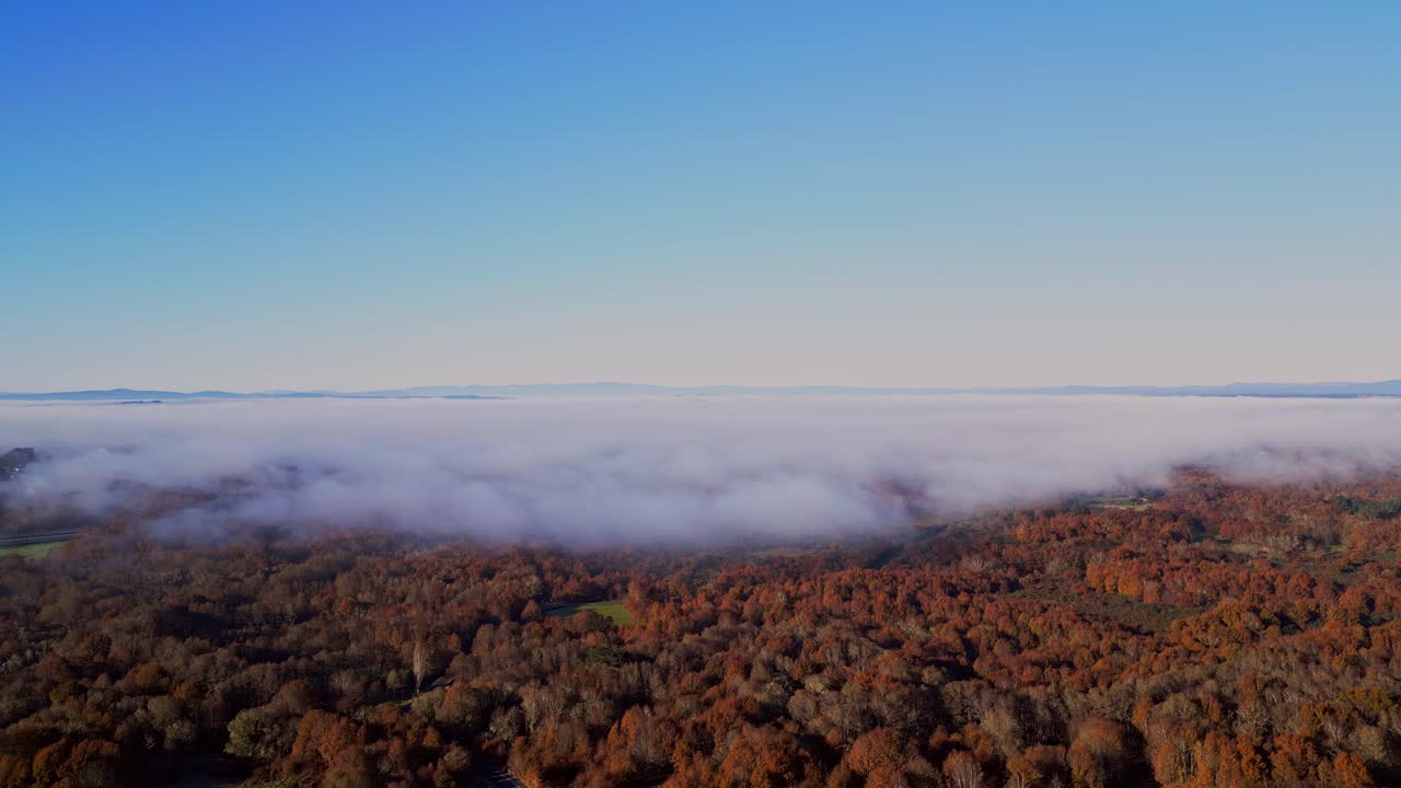 Autumn Foggy Mountain Landscape