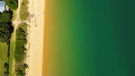 tropical sandy beach of new zealand, aerial top down view